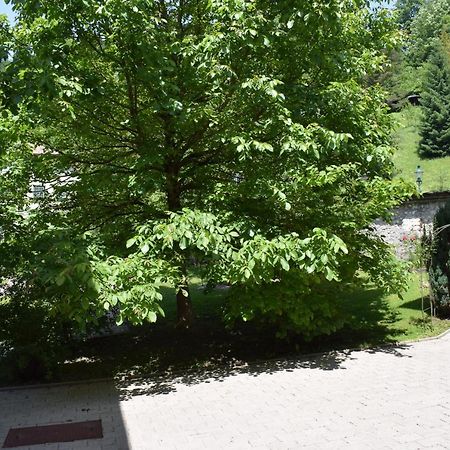 Fruehstueckspension Josefinum Bad Aussee Luaran gambar
